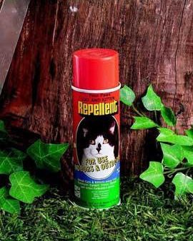 Four Paws Cat-Kitten Repellent 6oz Online Sale