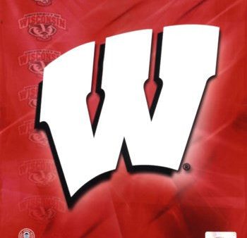 2009 University of Wisconsin Badgers Team Logo Online now