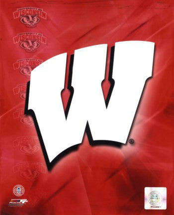 2009 University of Wisconsin Badgers Team Logo Online now