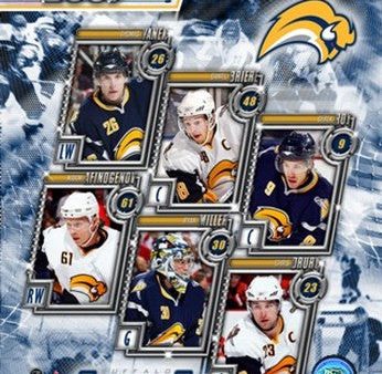 06 -  07 Sabres Team Composite Discount