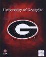 2008 University of Georgia Team Logo Discount