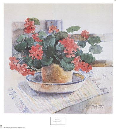 Geraniums, 1986 Hot on Sale