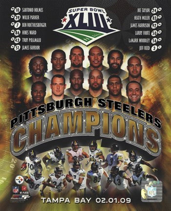 Pittsburgh Steelers 2009 SuperBowl XLIII Champions Composite Cheap