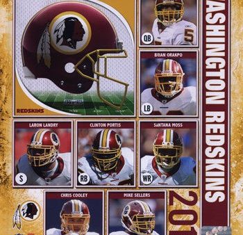 2010 Washington Redskins Composite Online