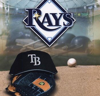 2008 Tampa Bay Rays Team Logo Online now