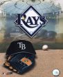 2008 Tampa Bay Rays Team Logo Online now