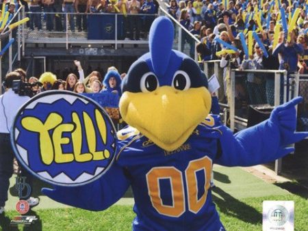 YoUDee Mascot of the University of Delaware Blue Hens, 2008 Cheap