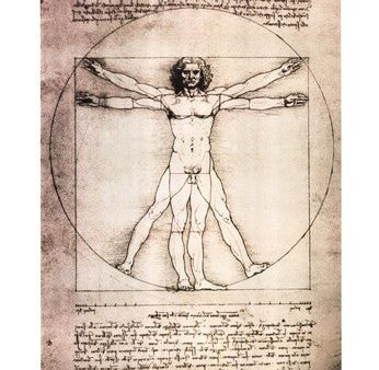 Vitruvian Man, 1492 For Cheap