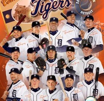 2007 - Tigers Team Composite Online now