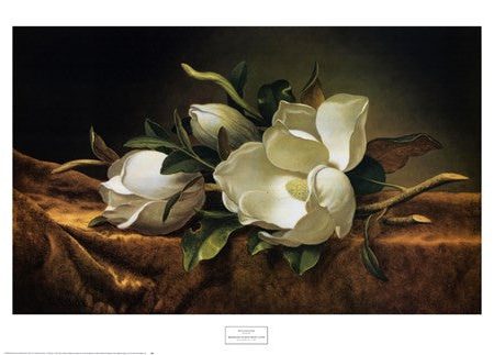 Magnolias on Gold Velvet Cloth Online