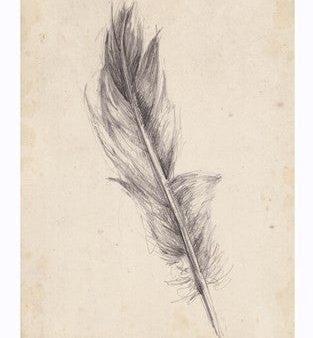 Feather Sketch IV For Discount