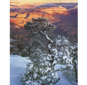 Grand Canyon Sunrise Sale