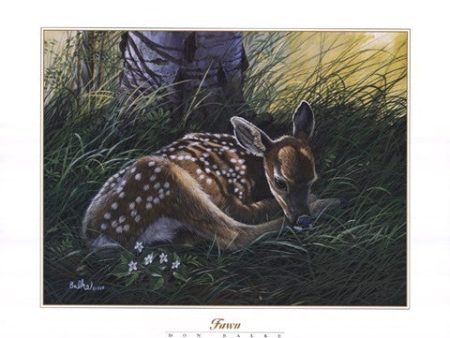 Fawn Hot on Sale