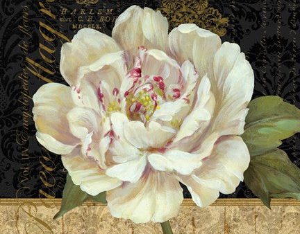 Antique Still Life Peony Online