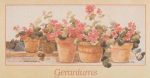 Geraniums Fashion