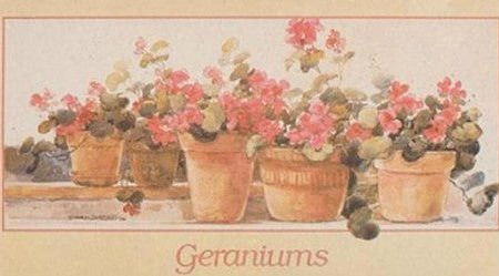 Geraniums Fashion