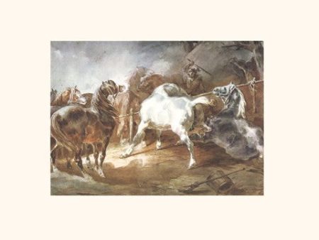 Fighting Horses Online Hot Sale