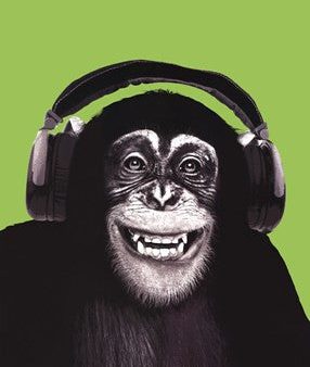 Chimpanzee Headphones Online now