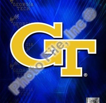 Georgia Tech Yellow Jackets 2008 Logo For Discount