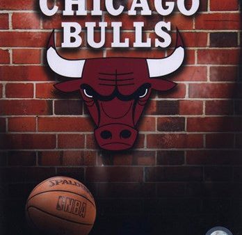 Bulls - 2006 Logo Online Hot Sale