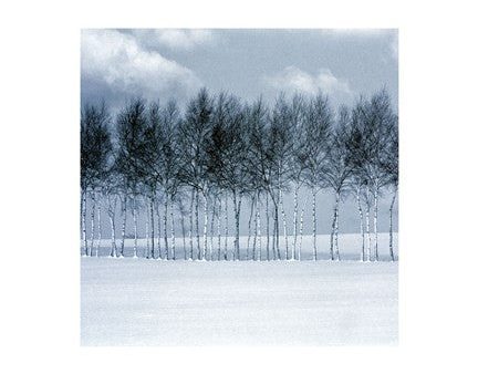 Zen Winter III Discount